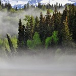 Brume fantomatique après la pluie sur la rivière Fraser - en arrière plan les Cariboo Mountains