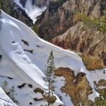 Les Lower Falls depuis Artist Point dans le Canyon de Yellowstone