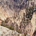 Contrastes de couleur le long du Grand Canyon de Yellowstone