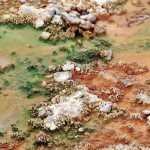 Gros plan sur les bactéries qui colorent l'eau des sources chaudes à Norris Geyser Basin