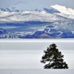 Détail du Yellowstone Lake (vers Lake Village)