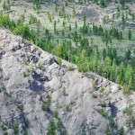 Montagnes boisées dans l'Idaho