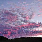 Moutons roses dans le ciel de Vernon - Canada