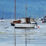 Bateau de pêche dans la baie de Cowichan - Île de Vancouver, Canada