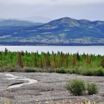 Kluane Lake vers Destruction Bay - Yukon