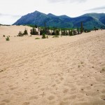 Le plus petit désert à Carcross - Yukon