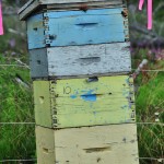 Seuls les 2 derniers niveaux de la ruche servent à la fabrication du miel - Canada