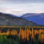 Lumière file du soleil de minuit - Yukon