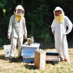 Steve et Pierre-Jean en tenue d'apiculteur lors du contrôle des ruches - Duncan, Vancouver Island