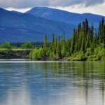 Bush et montagnes au bord de la rivière Takhini - Yukon