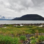 Vue panoramique de la baie de Haines - Alaska
